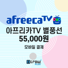 아프리카 별풍선 500개